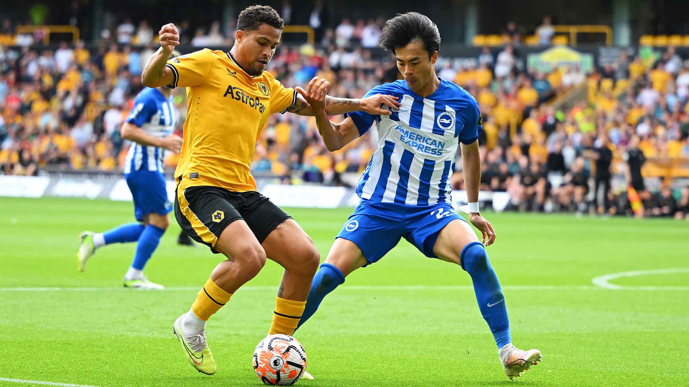 Nhận định soi kèo Brighton vs Wolves lúc 01h45 ngày 19/9/2024